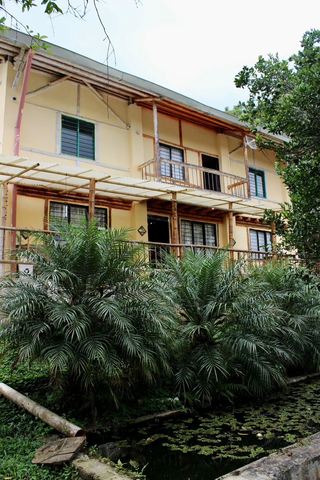 Fachada exterior de guadua rodeada de vegetación